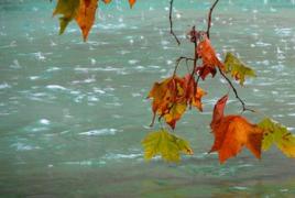 COD GALBEN de ploi! Zonele afectate