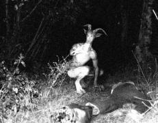 FOTO-INCREDIBIL! SATAN e pe pământ!