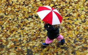 Prognoza METEO! Cum va fi vremea în următoarele două săptămâni