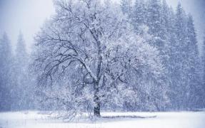 Vreme cu temperaturi peste normele climatologice ale perioadei, în următoarele două săptămâni