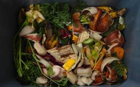 Aruncarea ALIMENTELOR la gunoi, INTERZISĂ!