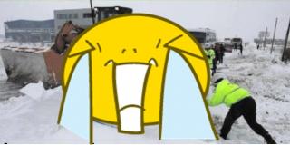 O să mori de râs! Fotografia care îţi va arăta adevărata faţă a Poliţiei Române