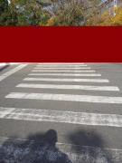 IMAGINEA ANULUI! POLIŢIA Română sparge orice TIPAR .Trecătorii au rămas STUPEFIAŢI!