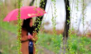 Prognoza meteo pe trei luni! AŞA va fi vremea de Paști