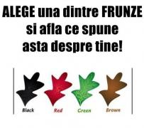 TEST de TOAMNĂ! Alege FRUNZA preferată şi vezi ce spune asta despre tine