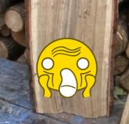 MINUNE chiar în ziua de MARŢI 13! Ce a găsit un bistriţean într-un BUŞTEAN te lasă mască