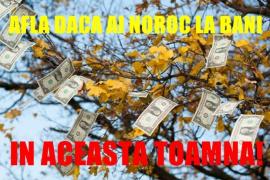 Speri să câştigi la LOTO? Nu te grăbi! Cinci ZODII care NU au noroc la BANI în această toamnă