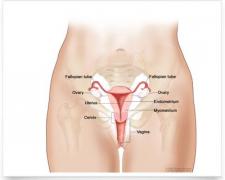 De ce NU rămâi ÎNSĂRCINATĂ! IATĂ explicația!