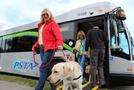 Decizie într-un ORAȘ MARE: Câinii merg gratuit cu autobuzul și tramvaiul