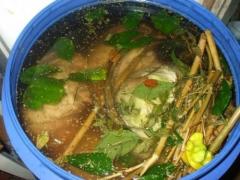 Greşeala pe care o fac TOATE GOSPODINELE! AŞA se pune corect VARZA la murat