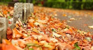 Vreme caldă. Prognoza meteo pentru zilele următoare