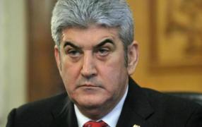 PNL a depus, la Senat, moțiunea simplă împotriva lui Gabriel Oprea