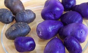 Isterie în România: Leguma care aduce profit de zece ori mai mare decât investiția