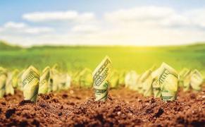 Toată lumea va fi despăgubită! Cererile se depun până la data de 30 noiembrie!