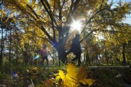 Cresc temperaturile! Prognoza meteo pentru săptămâna următoare