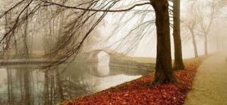 Vreme caldă! Prognoza METEO pentru miercuri şi joi