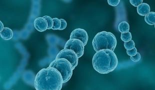 Toată lumea e în alertă! A fost descoperită prima bacterie rezistentă la "ultima soluţie" de antibiotice