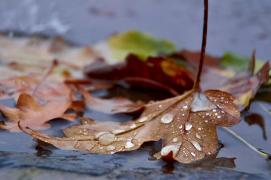 Vin ploile! Prognoza meteo pentru weekend