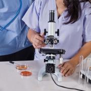 Nouă descoperire! Vas sangvin artificial de mărimea firului de păr