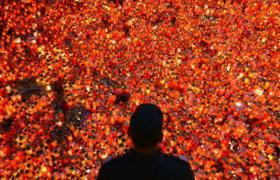 Marşul tăcerii #Colectiv": Aproximativ 700 de persoane au participat la un marş în memoria victimelor tragediei din Colectiv