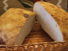 Uită de cea cumpărată din magazine! Învaţă să faci PÂINE de casă! Ingredientul de care nu ştiu multe GOSPODINE