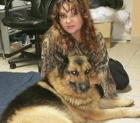 Urmașul bietului MAX: Povestea cutremurătoare a CÂINELUI-EROU BECKS, salvat în ultima clipă din mâinile hingherilor