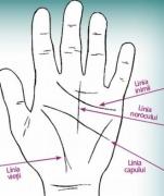 LINIILE din PALMĂ îți arată VIITORUL! Nu trebuie să fii GHICITOARE! O poți face chiar tu! Este foarte SIMPLU!