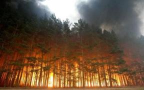 Incendiile din Australia au distrus case și au determinat evacuarea mai multor comunități