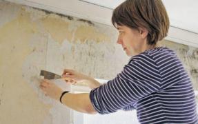 Scapă de MUCEGAI cu un ingredient MINUNE!