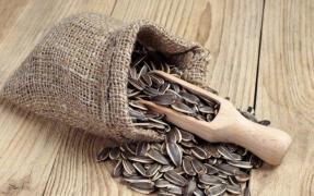 MIT sau... APENDICITĂ? Ce se întâmplă cu organismul tău atunci când mănânci SEMINTE! PERICOL dacă le mănânci COAJA