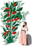 Anca Lungu lansează o carte cu basme culinare: „Rețete alese pentru prinți și prințese”