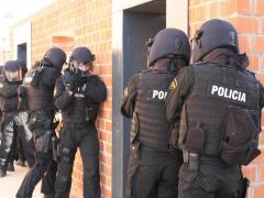 Spania: Doi presupuși membri ai unei celule extremiste, arestaţi