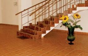 Cum să cureți ROSTURILE dintre plăcile de gresie? 2 INGREDIENTE din bucătăria ta fac MINUNI