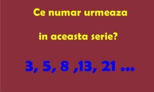 TESTUL pe care cei mai mulţi îl greşesc! Ce număr urmează în această serie?