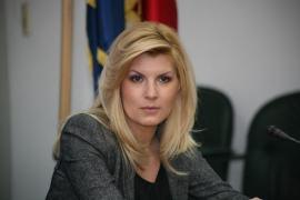 Elena Udrea a ajuns la Înalta Curte de Casație și Justiție