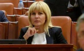 Udrea, în Parlament: "Am fost verificată la sânge şi dezbrăcată"