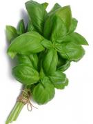 „A drege busuiocul” - o expresie extrem de folosită dar rar înțeleasă