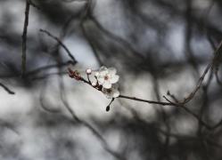 VREMEA, uşor mai caldă. Prognoza meteo pentru miercuri şi joi