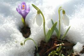 Temperaturi în creştere! Prognoza METEO pentru weekend