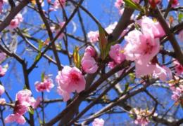 Meteorologii au anunţat. Aşa va fi vremea în următoarele trei luni