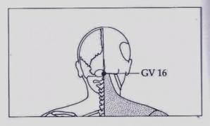 Un CUB de GHEAŢĂ îţi poate reda TINEREŢEA! Trucul care face furori în întreaga lume