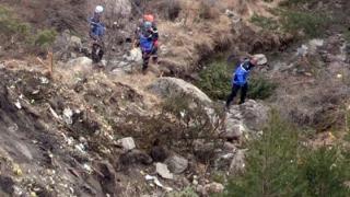 Rămășițele avionului prăbușit sunt „păzite” de lupi!