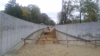 Restricţii de circulaţie pe Kiseleff