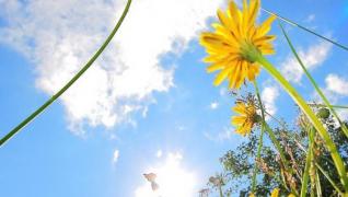 VREMEA se încălzeşte uşor