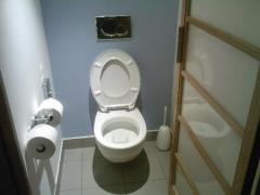 Lași CAPACUL RIDICAT la WC? Iată la ce PERICOLE te expui