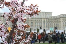 Prognoza METEO pentru weekend! Vreme predominant frumoasă