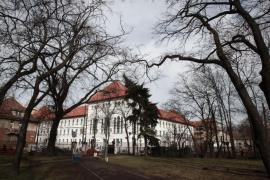 Aproximativ 6.000 de dosare, ridicate de la Primăria Timișoara privind retrocedări