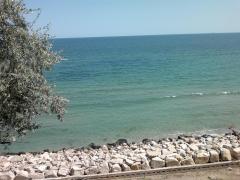 CUTREMUR ÎN MAREA NEAGRĂ!