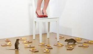 Ai vreo temere? Cum poți scăpa de ORICE FOBIE garantat