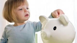 Senatul a respins moţiunea simplă a PNL privind alocaţiile pentru copii